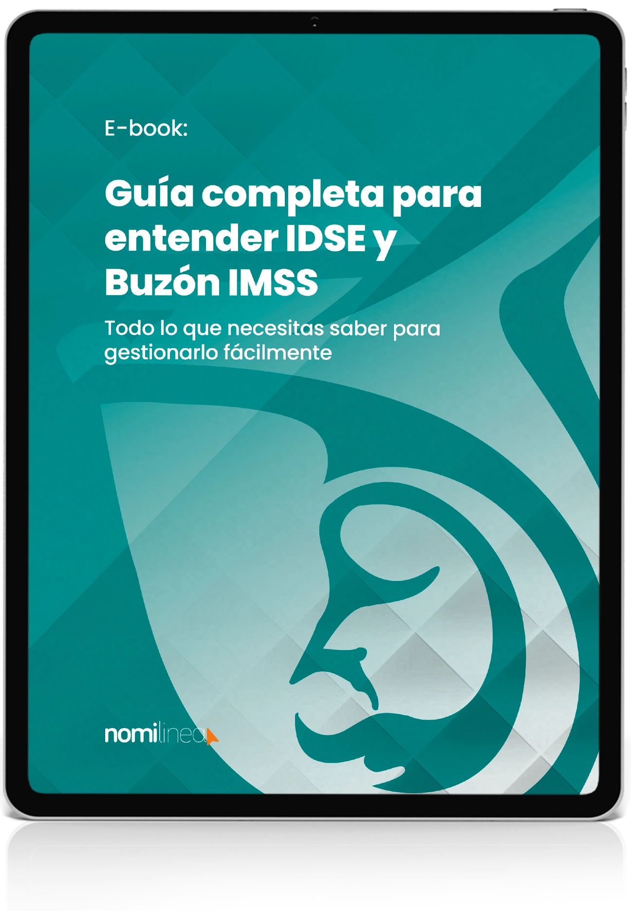E-book: Entender IDSE y Buzón IMSS